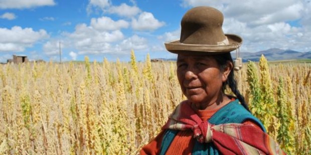 7ae73efe4c50580e061849ef2d5b5ea4_XL